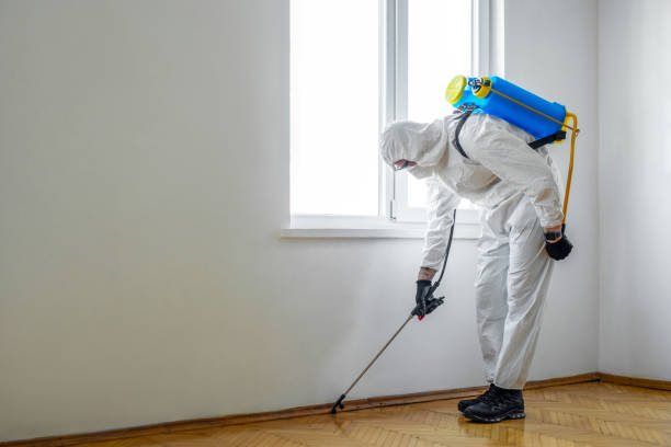 Best Wasp Removal Services  in Pottstown, PA