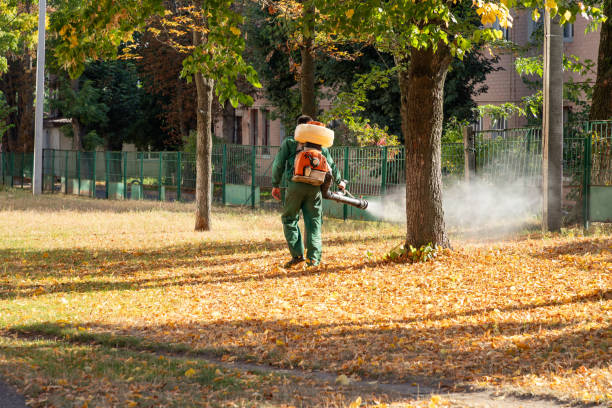 Best Pest Control for Businesses  in Pottstown, PA