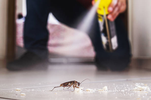 Professional Pest Control in Pottstown, PA